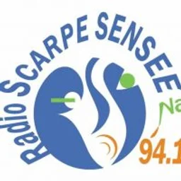 Radio Scarpe Sensée — France logo