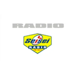 Radio SeiSei — Italy logo