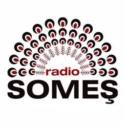 Radio Someș -Bistrița 96,6 FM — Romania logo