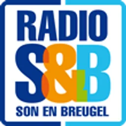 Radio Son en Breugel — The Netherlands logo