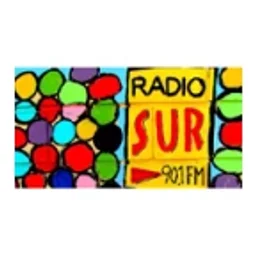 Radio Sur 90.1 FM — Argentina logo