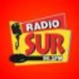 Radio Sur FM 90.1 — Argentina logo