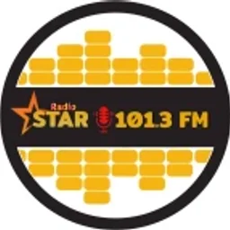 Radiostar 101.3 — Argentina logo