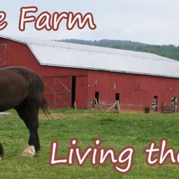 Ritter Farms Internet Radio — The United States Of America logo