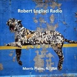 Robert Loglisci Radio — The United States Of America logo