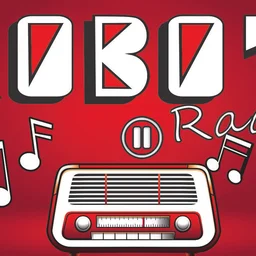 ROBOT HIT RADIO — Bosnia And Herzegovina logo