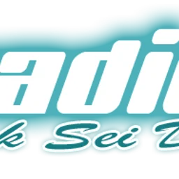RSD-Radio — Germany logo