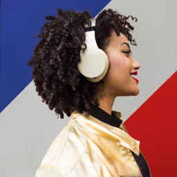 RTL 100% FRANCE — France logo