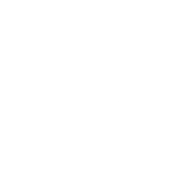 RTP - Radio ZigZag — Portugal شعار