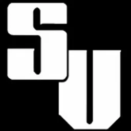 ScratchVision Radio — The United States Of America logo