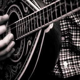 Hören Sie ${station.name} live aus ${station.country} - ${station.genre || ''}