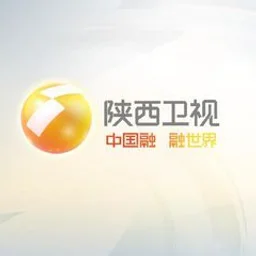 陕西卫视伴音 — China לוגו