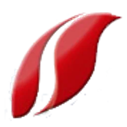 山西卫视伴音 — China logo