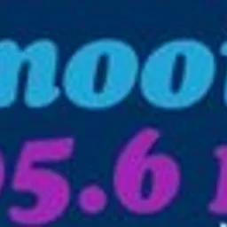 Smooth 105.6FM — New Zealand logo