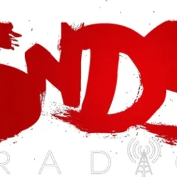 SNDSRADIO  — The United States Of America logo