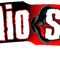 Son Radio -Târgu Mureș 105.6 FM — Romania logo