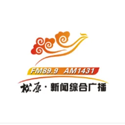 松原新闻综合广播 — China לוגו