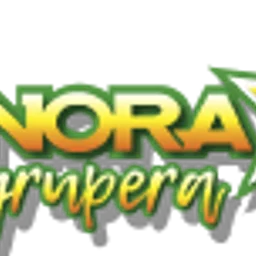 Sonora Grupera 91.7 Ciudad Obregón 标志 — 墨西哥