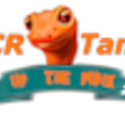 SSCR Tampa — The United States Of America logo