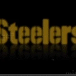 Steelers Nation Radio — The United States Of America logo
