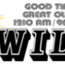 Super Hits WILY 1210 AM - Centralia, IL — The United States Of America logo