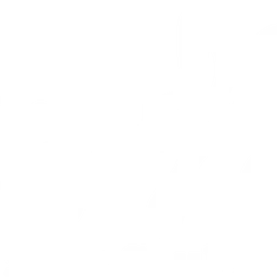 Superfly Beach logo — Germany