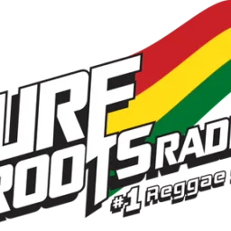 Surf Roots — The United States Of America logo