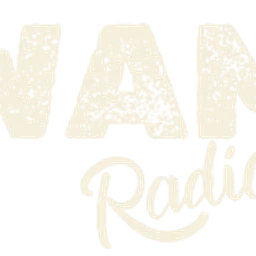 Swamp Radio — The United States Of America logo