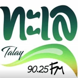 talay 90.25FM — Thailand logo