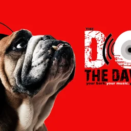 The DOG Radio — The United States Of America logo
