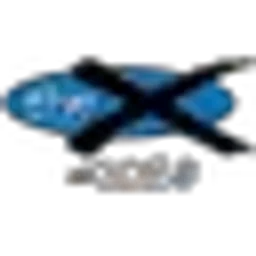 The X (Pittsburgh) — The United States Of America logo