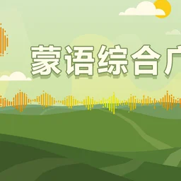 通辽蒙语综合广播 — China logo