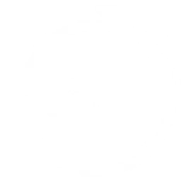 TRT TSR — Türkiye logo