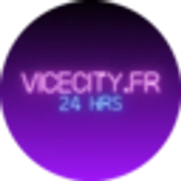 Vicecity.fr — France logo