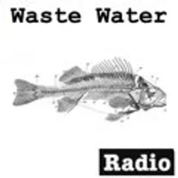 Waste Water Music — Germany logo