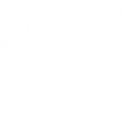 WDNA m — The United States Of America logo