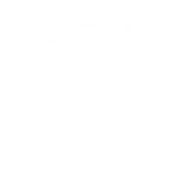 WETA Virtuoso — The United States Of America logo