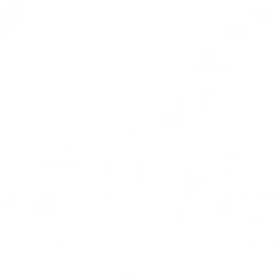 WETA VivaLaVoce — The United States Of America logo
