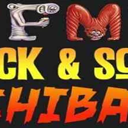 WFMU Rock 'n' Soul Radio logo — Unknown