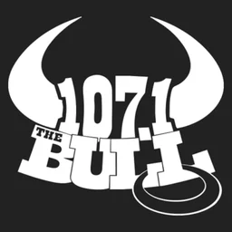 WFON 107.1 The Bull — The United States Of America logo