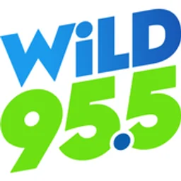 WiLD 95.5 logo — The United States Of America