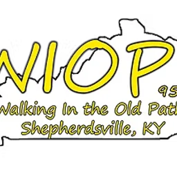 WIOP 95.1 FM — The United States Of America logo