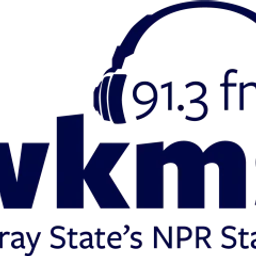 WKMS 91.3 FM logo — The United States Of America