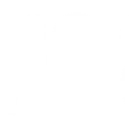 WKNC 88.1 HD2 — The United States Of America logo