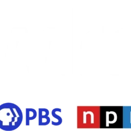 WLRN 91.3 FM — The United States Of America logo