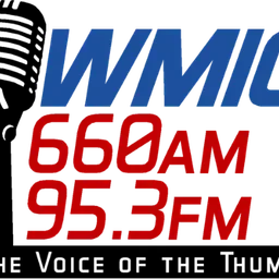 WMIC — The United States Of America logo