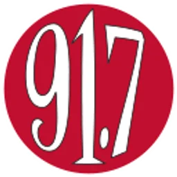 WMSE — The United States Of America logo