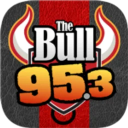 WRTB "95.3 The Bull"  Winnebago, IL — The United States Of America logo