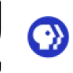 WSIU — The United States Of America logo