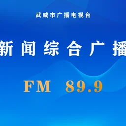 武威新闻综合广播 FM89.9 — China logo
